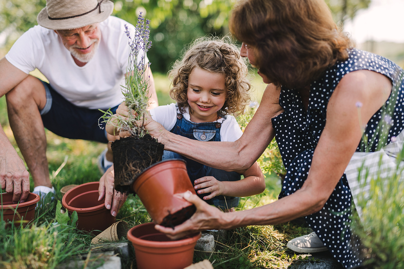 Estate and Legacy Planning Services | Stone Ridge Advisors