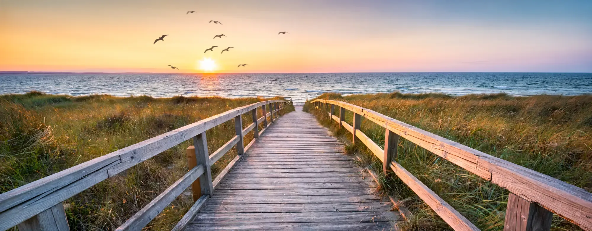 A  scenic pathway leading to the beach